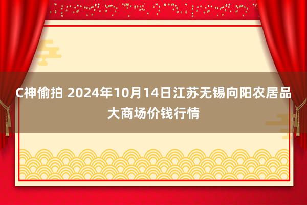 C神偷拍 2024年10月14日江苏无锡向阳农居品大商场价钱行情