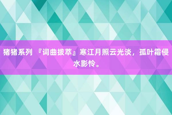 猪猪系列 『词曲拔萃』寒江月照云光淡，孤叶霜侵水影怜。