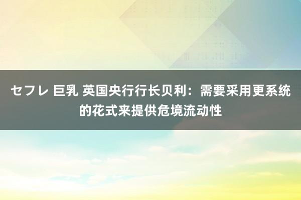 セフレ 巨乳 英国央行行长贝利：需要采用更系统的花式来提供危境流动性