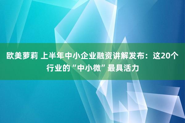 欧美萝莉 上半年中小企业融资讲解发布：这20个行业的“中小微”最具活力
