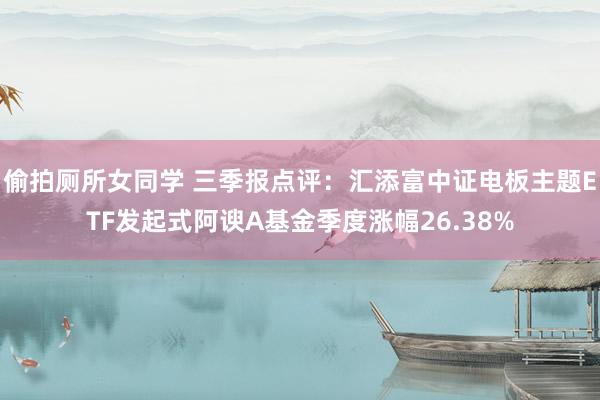 偷拍厕所女同学 三季报点评：汇添富中证电板主题ETF发起式阿谀A基金季度涨幅26.38%