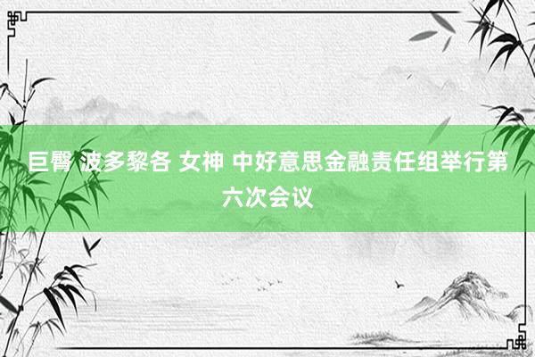 巨臀 波多黎各 女神 中好意思金融责任组举行第六次会议