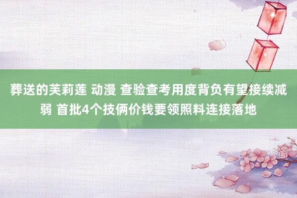 葬送的芙莉莲 动漫 查验查考用度背负有望接续减弱 首批4个技俩价钱要领照料连接落地