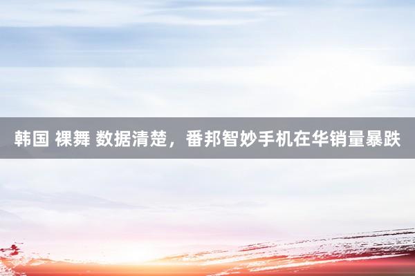韩国 裸舞 数据清楚，番邦智妙手机在华销量暴跌