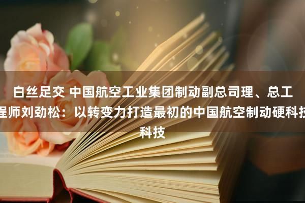 白丝足交 中国航空工业集团制动副总司理、总工程师刘劲松：以转变力打造最初的中国航空制动硬科技