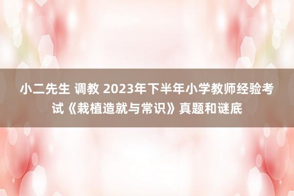 小二先生 调教 2023年下半年小学教师经验考试《栽植造就与常识》真题和谜底