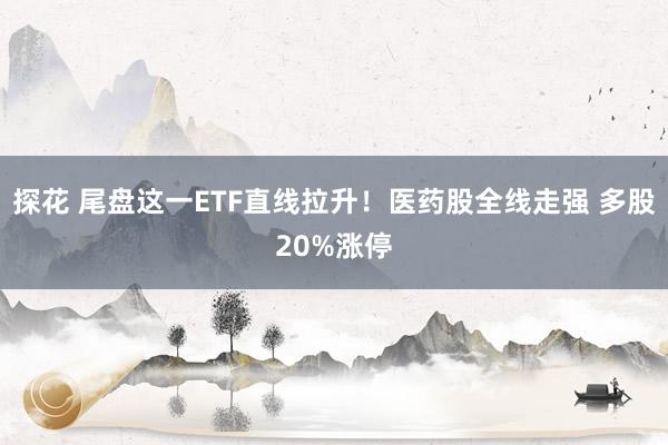 探花 尾盘这一ETF直线拉升！医药股全线走强 多股20%涨停
