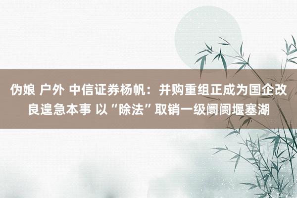 伪娘 户外 中信证券杨帆：并购重组正成为国企改良遑急本事 以“除法”取销一级阛阓堰塞湖
