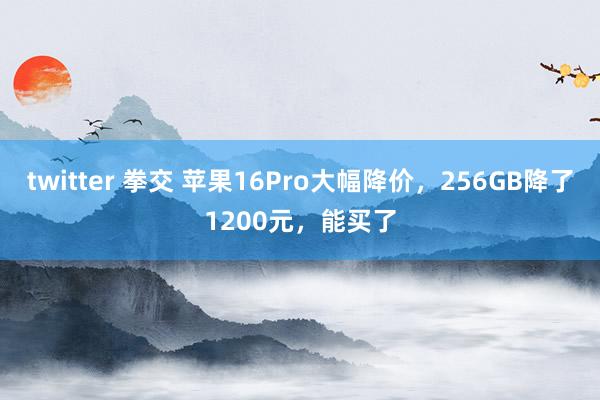 twitter 拳交 苹果16Pro大幅降价，256GB降了1200元，能买了