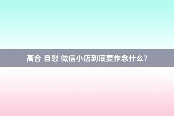 高合 自慰 微信小店到底要作念什么？