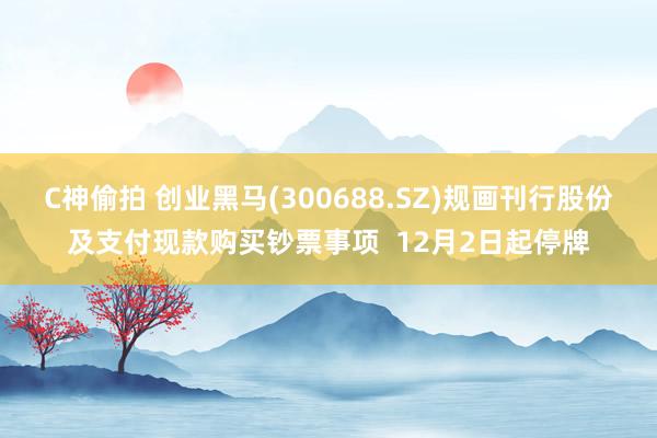 C神偷拍 创业黑马(300688.SZ)规画刊行股份及支付现款购买钞票事项  12月2日起停牌
