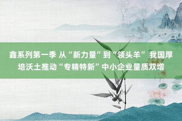鑫系列第一季 从“新力量”到“领头羊” 我国厚培沃土推动“专精特新”中小企业量质双增
