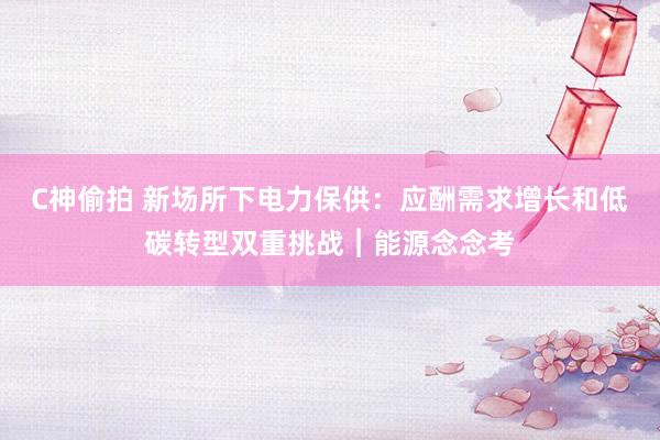 C神偷拍 新场所下电力保供：应酬需求增长和低碳转型双重挑战︱能源念念考