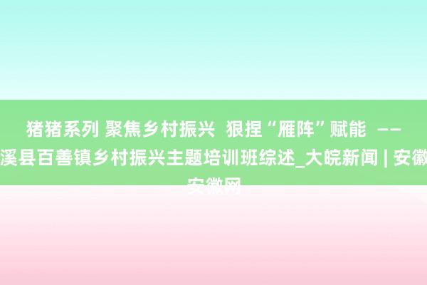 猪猪系列 聚焦乡村振兴  狠捏“雁阵”赋能  ——濉溪县百善镇乡村振兴主题培训班综述_大皖新闻 | 安徽网