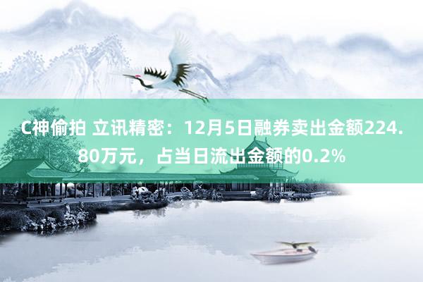 C神偷拍 立讯精密：12月5日融券卖出金额224.80万元，占当日流出金额的0.2%