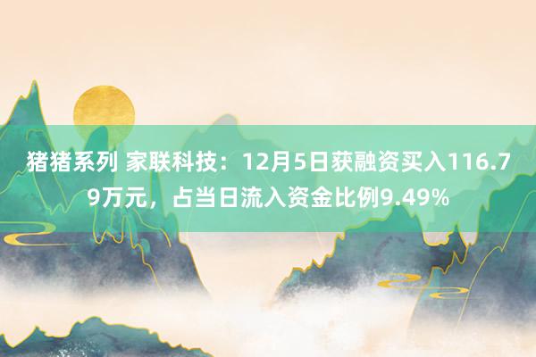 猪猪系列 家联科技：12月5日获融资买入116.79万元，占当日流入资金比例9.49%