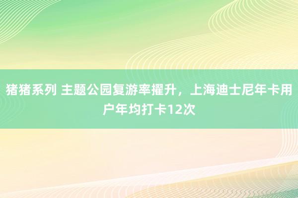 猪猪系列 主题公园复游率擢升，上海迪士尼年卡用户年均打卡12次
