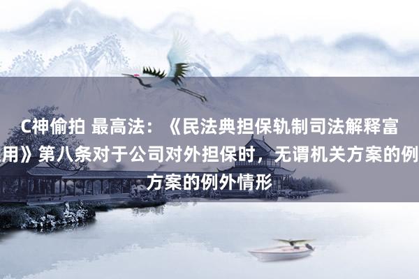 C神偷拍 最高法：《民法典担保轨制司法解释富厚与适用》第八条对于公司对外担保时，无谓机关方案的例外情形