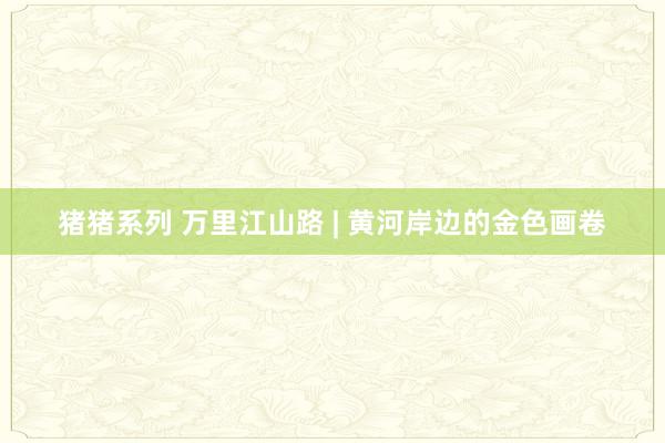 猪猪系列 万里江山路 | 黄河岸边的金色画卷