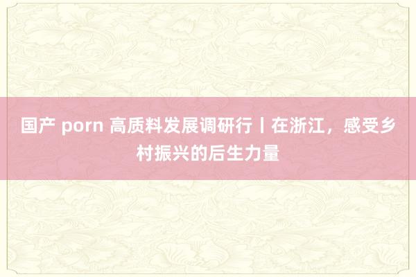 国产 porn 高质料发展调研行丨在浙江，感受乡村振兴的后生力量