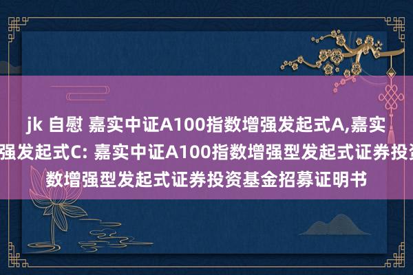 jk 自慰 嘉实中证A100指数增强发起式A,嘉实中证A100指数增强发起式C: 嘉实中证A100指数增强型发起式证券投资基金招募证明书