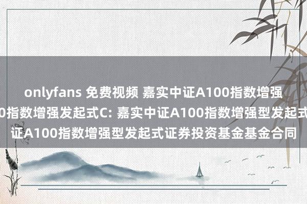 onlyfans 免费视频 嘉实中证A100指数增强发起式A,嘉实中证A100指数增强发起式C: 嘉实中证A100指数增强型发起式证券投资基金基金合同