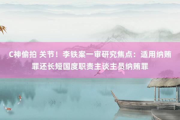 C神偷拍 关节！李铁案一审研究焦点：适用纳贿罪还长短国度职责主谈主员纳贿罪