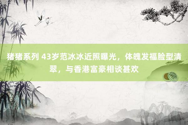 猪猪系列 43岁范冰冰近照曝光，体魄发福脸型清翠，与香港富豪相谈甚欢