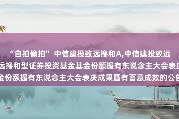 “自拍偷拍” 中信建投致远搀和A，中信建投致远搀和C: 对于中信建投致远搀和型证券投资基金基金份额握有东说念主大会表决成果暨有蓄意成效的公告