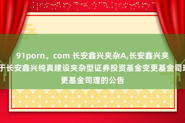91porn。com 长安鑫兴夹杂A,长安鑫兴夹杂C: 对于长安鑫兴纯真建设夹杂型证券投资基金变更基金司理的公告