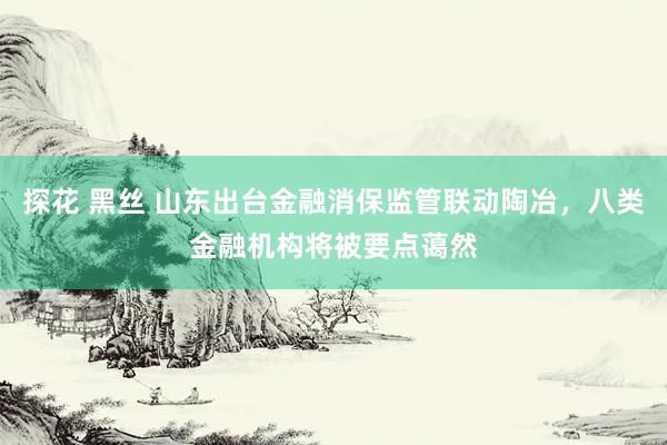 探花 黑丝 山东出台金融消保监管联动陶冶，八类金融机构将被要点蔼然