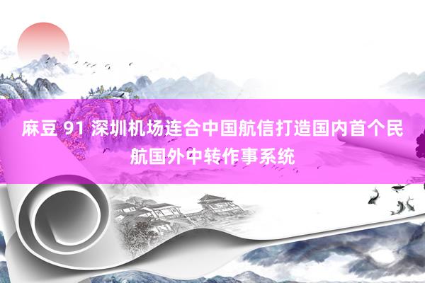 麻豆 91 深圳机场连合中国航信打造国内首个民航国外中转作事系统