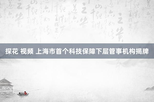 探花 视频 上海市首个科技保障下层管事机构揭牌