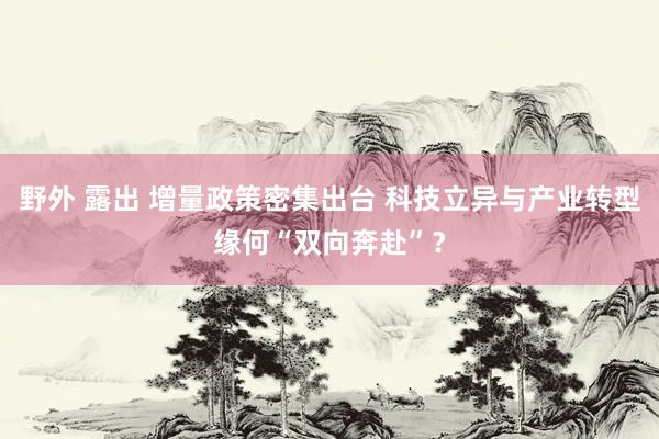 野外 露出 增量政策密集出台 科技立异与产业转型缘何“双向奔赴”？
