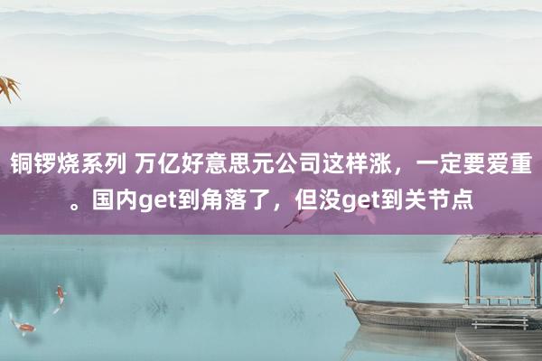 铜锣烧系列 万亿好意思元公司这样涨，一定要爱重。国内get到角落了，但没get到关节点