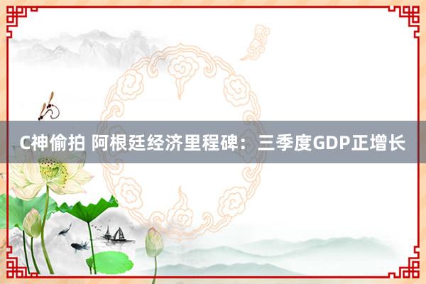 C神偷拍 阿根廷经济里程碑：三季度GDP正增长