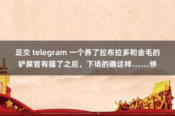 足交 telegram 一个养了拉布拉多和金毛的铲屎官有猫了之后，下场的确这样……惨