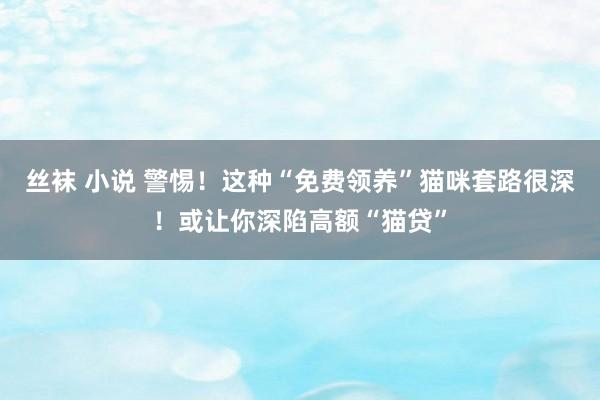 丝袜 小说 警惕！这种“免费领养”猫咪套路很深！或让你深陷高额“猫贷”