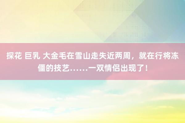 探花 巨乳 大金毛在雪山走失近两周，<a href=