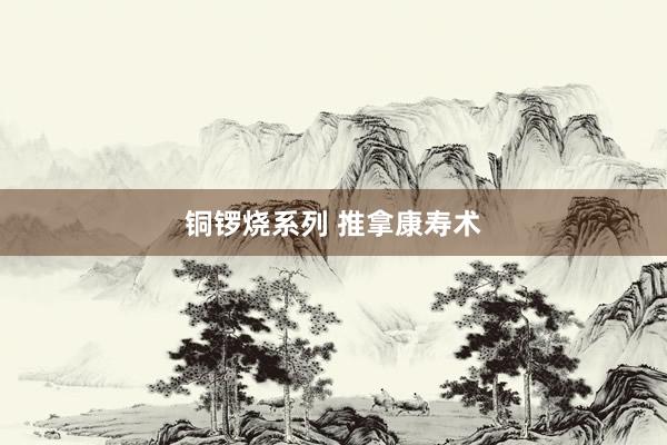 铜锣烧系列 推拿康寿术