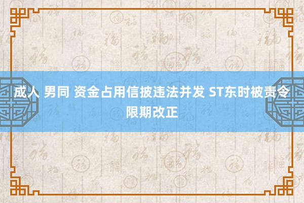 成人 男同 资金占用信披违法并发 ST东时被责令限期改正