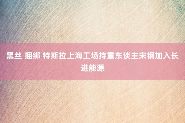 黑丝 捆绑 特斯拉上海工场持重东谈主宋钢加入长进能源