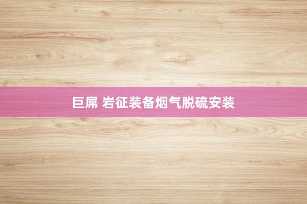 巨屌 岩征装备烟气脱硫安装