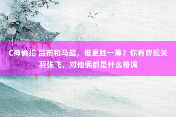 C神偷拍 吕布和马超，谁更胜一筹？你看曹操关羽张飞，对他俩都是什么格调