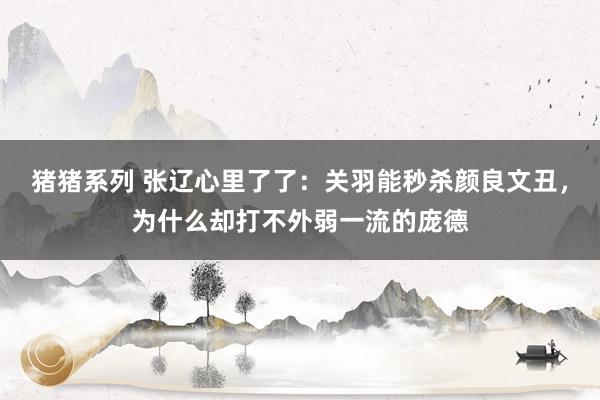 猪猪系列 张辽心里了了：关羽能秒杀颜良文丑，为什么却打不外弱一流的庞德