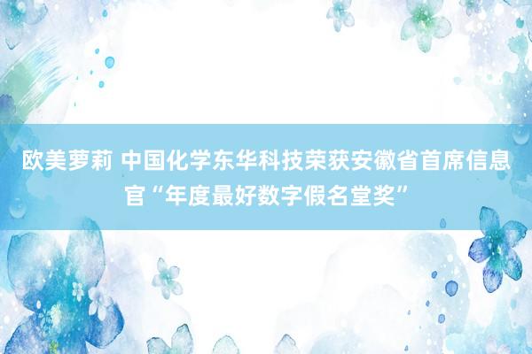 欧美萝莉 中国化学东华科技荣获安徽省首席信息官“年度最好数字假名堂奖”