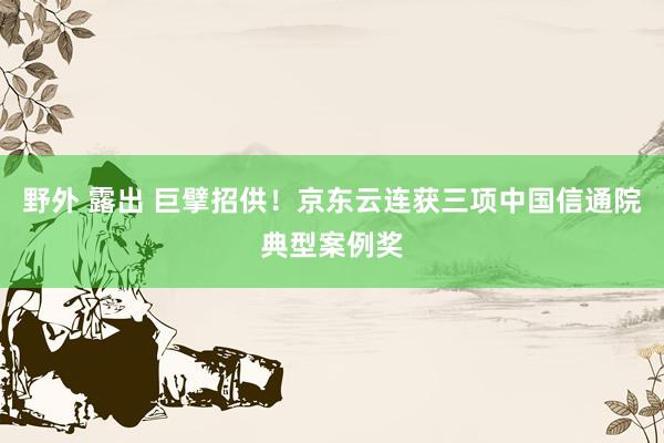 野外 露出 巨擘招供!京东云连获三项中国信通院典型案例奖