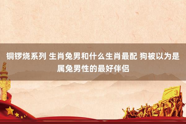 铜锣烧系列 生肖兔男和什么生肖最配 狗被以为是属兔男性的最好伴侣