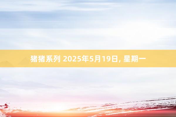 猪猪系列 2025年5月19日， 星期一