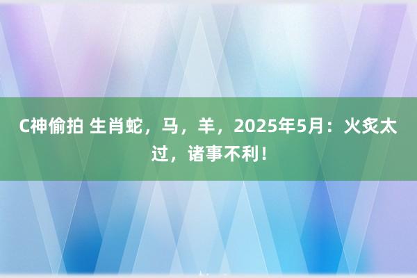 C神偷拍 生肖蛇，马，羊，2025年5月：火炙太过，诸事不利！